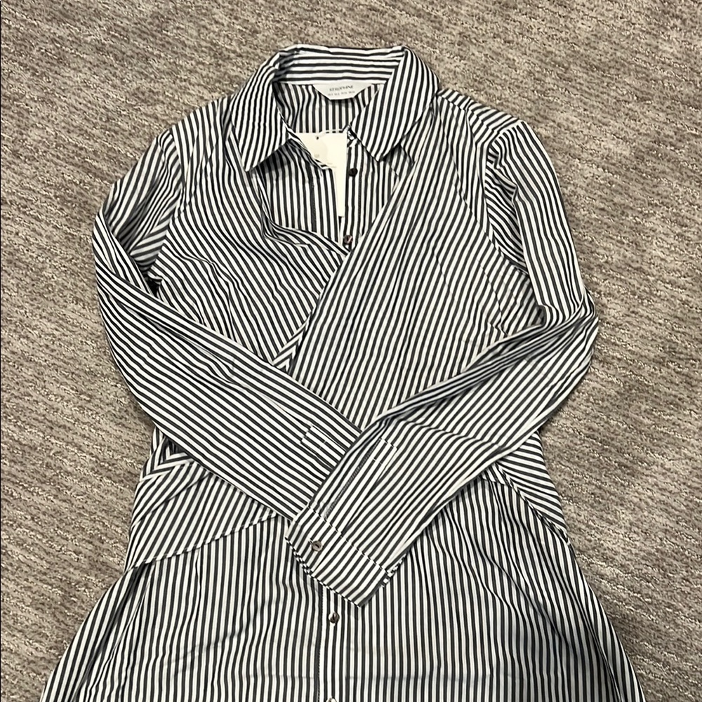 NWT Seraphine Maternity&Nursing Shirt Stripe Dress